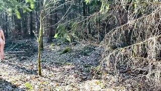 What would you do if you stumbled upon this in the forest?