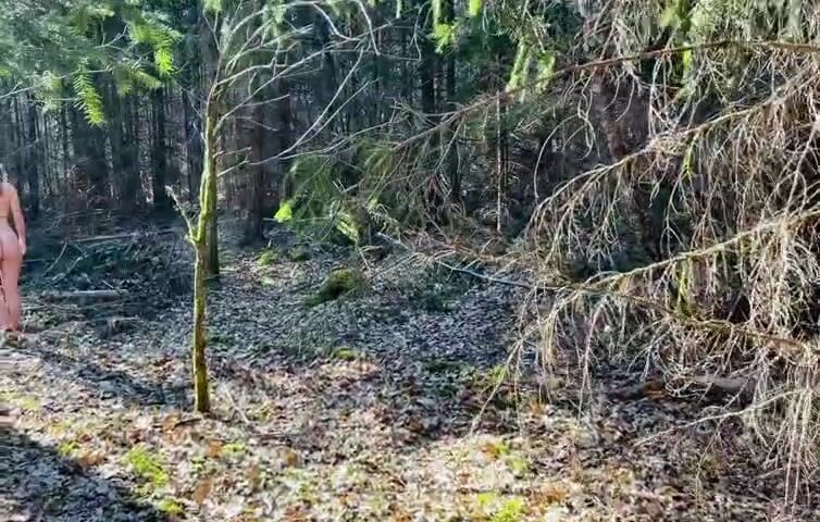 What would you do if you stumbled upon this in the forest?