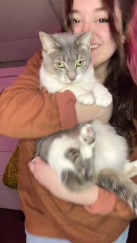 How’s my “pussy” reveal? :D