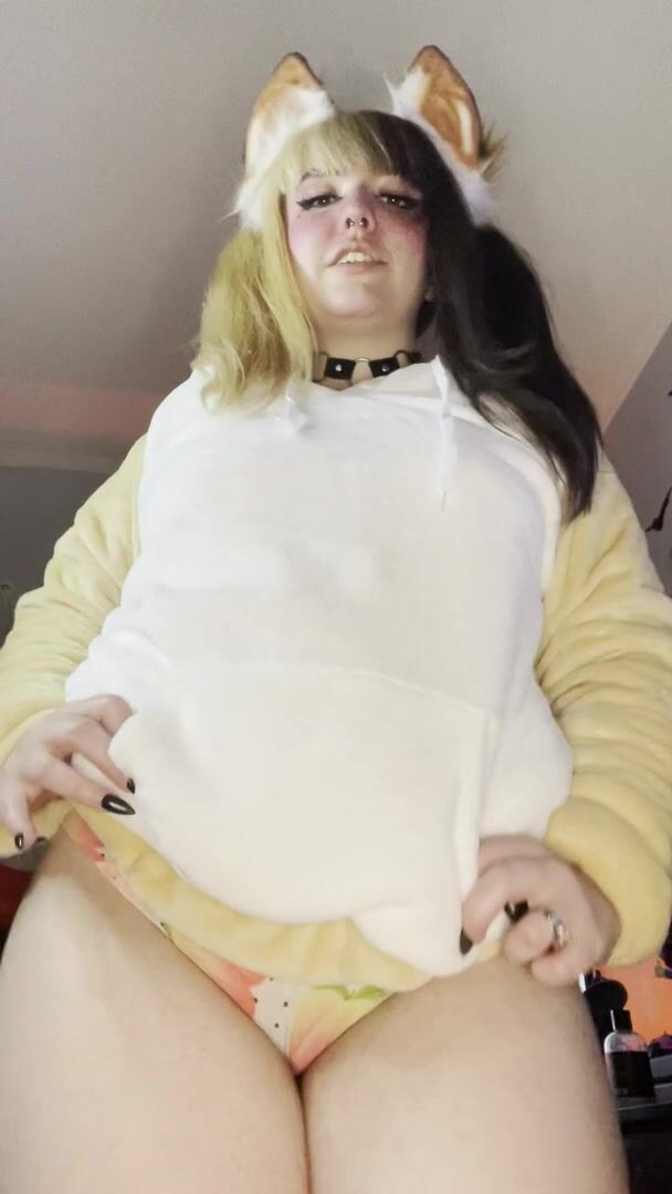 Please pet the chubby puppy